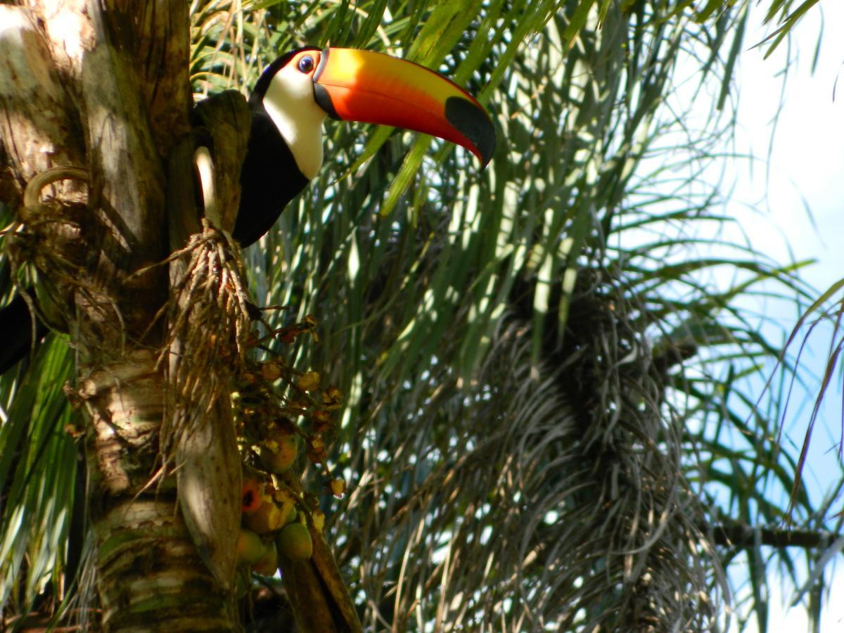 Pousada Fazenda Peroba Rosa Pedregulho ภายนอก รูปภาพ